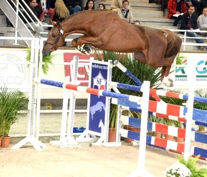Eldorado d'elle v. Qlassic Bois Margot